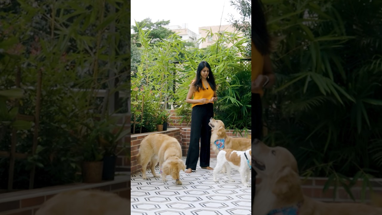 Pet Friendly Home Interiors