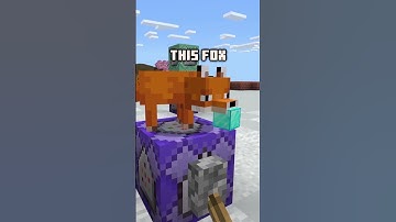 We got block-displays in bedrock before GTA 6. |  #minecraftbedrock #minecraftpe #commandblocks