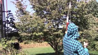 To Knock Down A Bee Hive