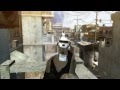 EPIC FAIL by Anarh1st