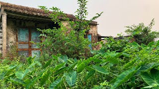 Clean up overgrown weeds dilapidated abandoned house | SHOCK TRANSFORMATION