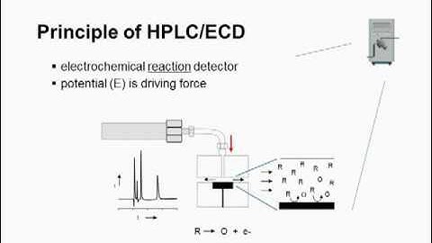 HPLC-ECD.MPG