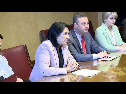 სალომე ზურაბიშვილი ნორვეგიის პრემიერ-მინისტრს შეხვდა