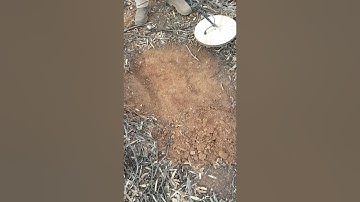 Target test  between 4500 - 5000 - SDC