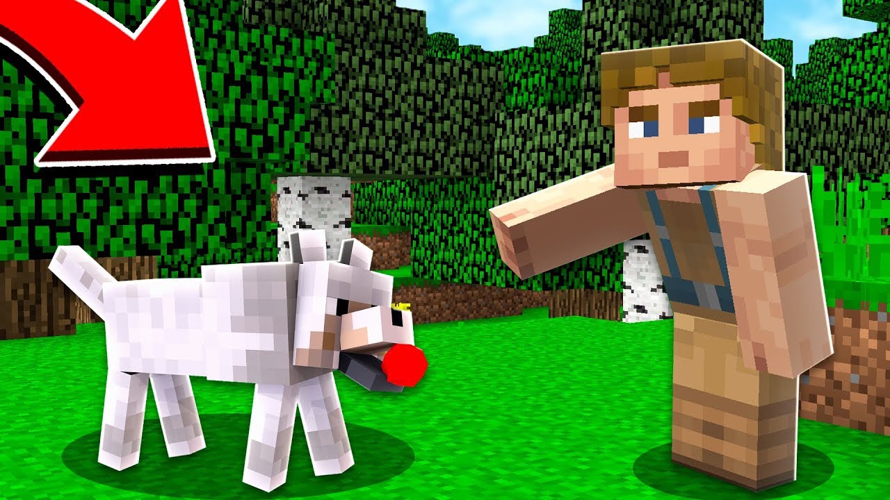 J'ADOPTE UN CHIEN SUR MINECRAFT ! YouTube
