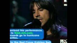 Red Hot Chili Peppers - Under The bridge (Live, 'Katrina' hurricane 2005)