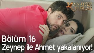 Zeynep ile Ahmet yakalanıyor - Kanatsız Kuşlar 16. Bölüm