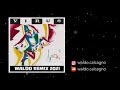 Virus  sin disfraz waldo extended remix 2021