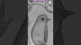 #shorts//sparrow drawing//Bird drawing//easy drawing//pencil art