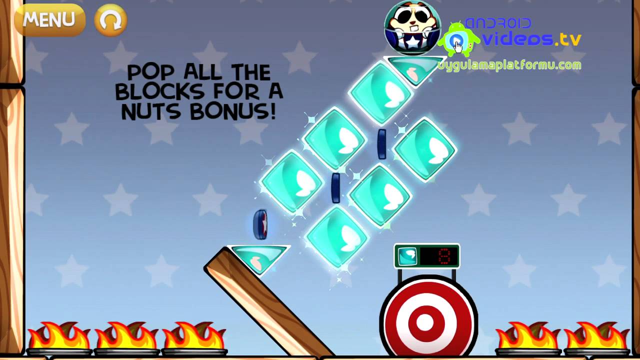 Hank Hazard: The Stunt Hamster