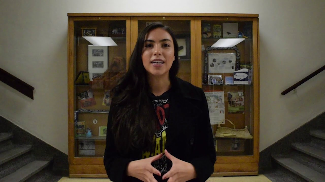 How Borderzine works to support quality journalism