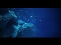 Mtm  special ops  deep sea cliff dive