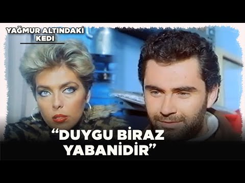 Yağmur Altındaki Kedi Türk Filmi | Rıfat, Duygu'ya Sahip Oluyor!
