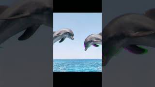 Famous Why dolphins are evil #dolphins #facts #animals #bizarre #unique #evil Wealth