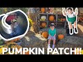 FAMILY DAY *pumpkin patch fun*