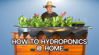 DIY hydroponics, how it works, cheap, simple and easy.