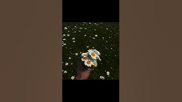 Barbaad song❤️🔥 #ahaanpanday #aneetpadda #barbaad #saiyaara #bollywood #jubinnautiyal