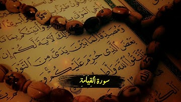 Surah Al Qiyamah سورة الْقِيَامَةِ  Beautiful Quran| Zaid Shanti