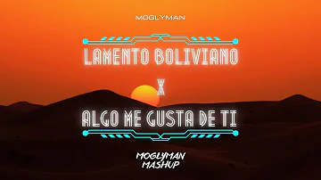 Wisin & Yandel Feat Enanitos Verdes - Algo me gusta de ti x Lamento Boliviano (Moglyman Mashup)