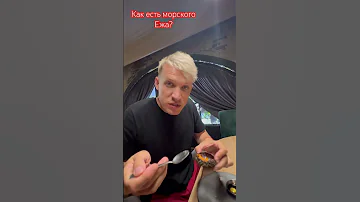 Как есть морского Ежа? #Ёж #морскойеж #ресторан #Челябинск