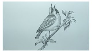 Drawing A Beautiful Bird In Hand In Pencils ➤Easy  Shading drawing,  Sketches easy, Pencil drawings easy