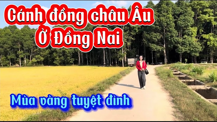 Rừng quốc gia cát tiên thuộc tỉnh nào năm 2024