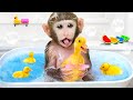 Macaco Yoyo Toma Banho De Espuma Com Patinhos E Faz Higiene Pessoal Macaco Yoyo Toma Banho De Espuma Com Patinhos E Faz Higiene Pessoal