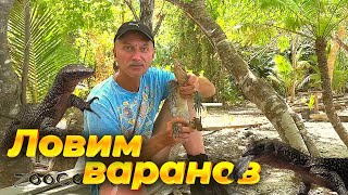 По джунглям за варанами. Серия 13