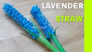 Lavender flower with drinking straw ...