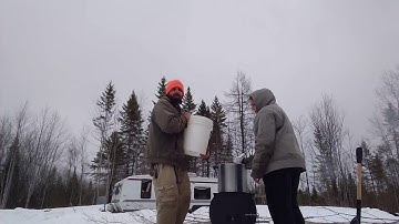 Part 2 of tapping maple trees