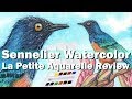 Sennelier La Petite Aquarelle Watercolor Review 12 Half Pan Set Swatch & Bird Painting