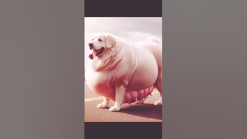 Heavy weight dog in trouble rescue team help reverse video #rescuedog#ai #animals #dogs #help #unity