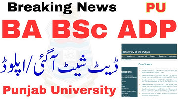 BA BSc Exam 2023 | Official Datesheet Upload on Website PU