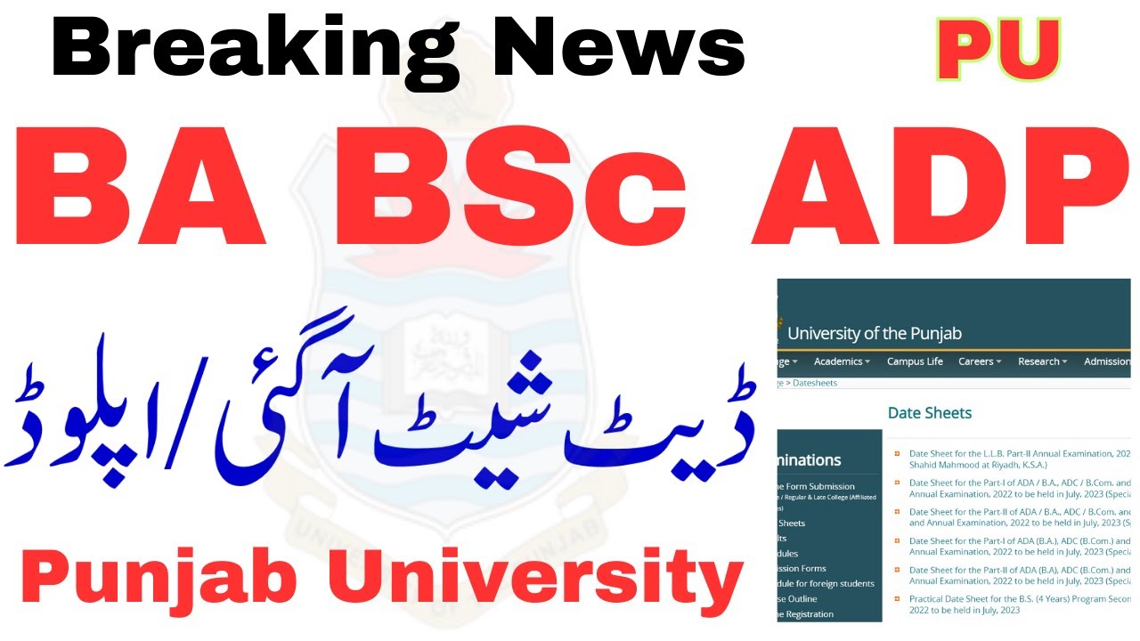 BA BSc Exam 2023 | Official Datesheet Upload on Website PU