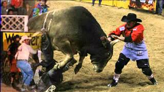 caballo dorado- payaso de rodeo 2