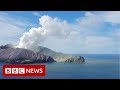 New Zealand volcano: The moment after eruption hit - BBC News