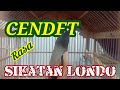 Cendet Gacor Isian Sikatan London Buat Pancingan Cendet Macet Bunyi Mp3 - Mp4 Download
