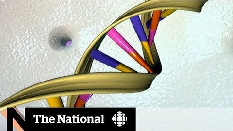 DNA sharing leads to privacy concerns