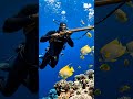 🌊 Dangerous Underwater Fishing 😱🐟 | Deep Sea Adventure Viral Video#fishing #youtubeshorts
