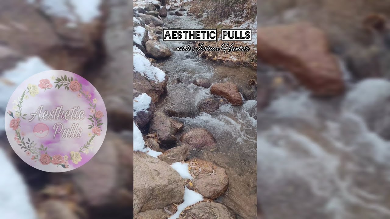 Aesthetic Pulls - S4 EP4