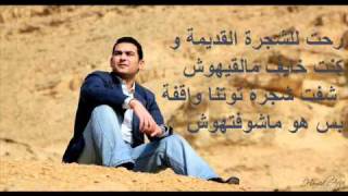 شجرة توت كلمات ربيع السيوفى / shagret toot lyrics :rabe3 elseufy.wmv