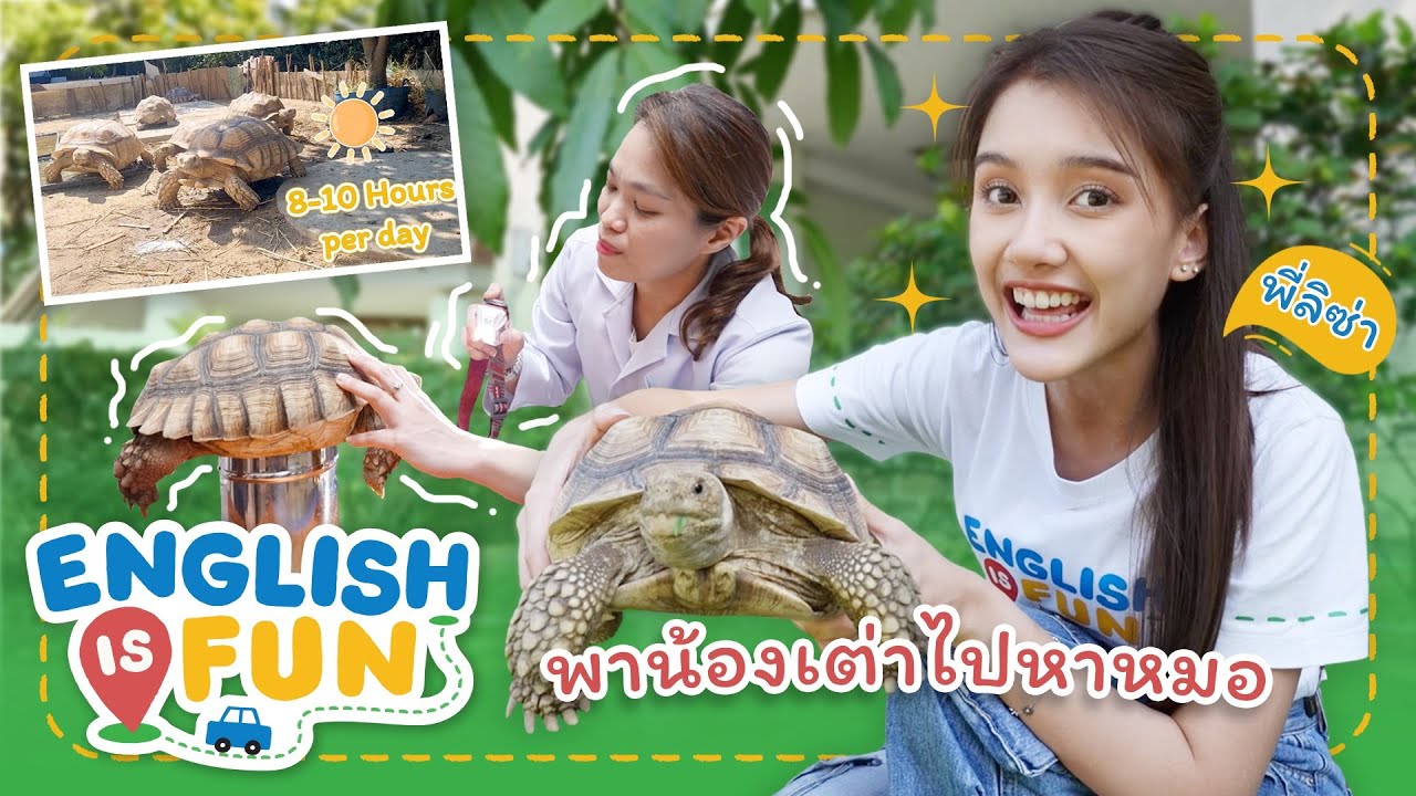 พาน้องเต่าไปหาหมอ | English is Fun