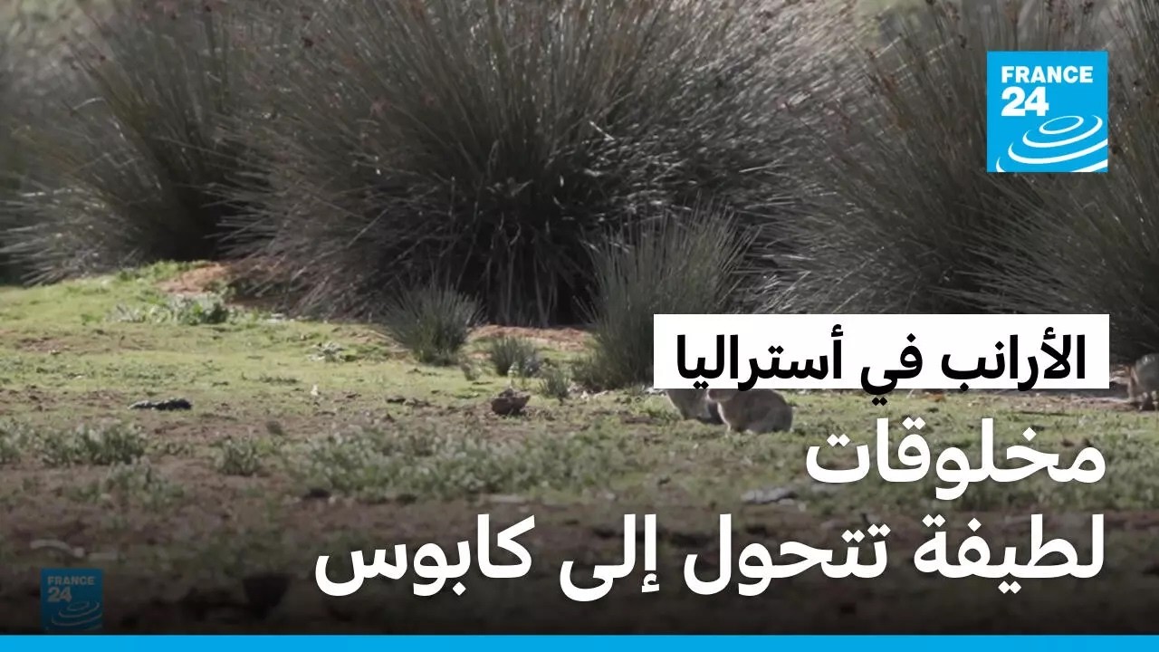 ������� �� ��������.. �� ������� ����� ��� ����� ���� �������� ������� ����������
 - نشر قبل 7 دقيقة