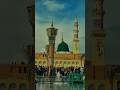 MADINA BULA LIJIYE 💗😇 #islamicshorts #naatsharif #viralreels #ﷺ #eidmiladunnabi #madina #bulalijye 💗