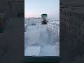 Снегири.