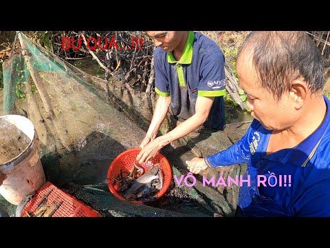 Video GIA ĐÌNH ANH BA DỠ ĐÓNG CHÀ KHÔNG NGỜ TOÀN CÁ TO - youtube