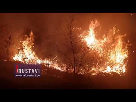 ხანძარი რუსთავის სასაფლაოზე