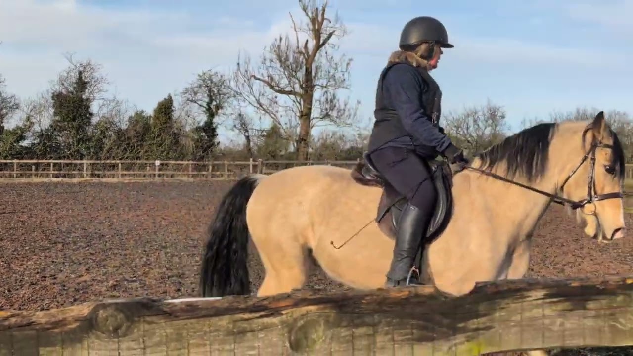 Pascal 17th Feb 2026