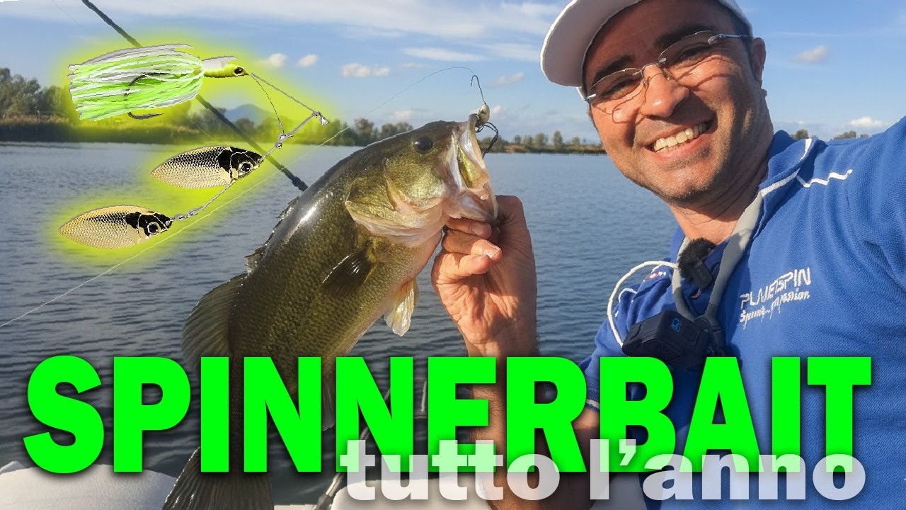 lo Spinnerbait, esca anti cappotto a black bass a Castelvolturno al BAIA REAL ADVENTURES 15