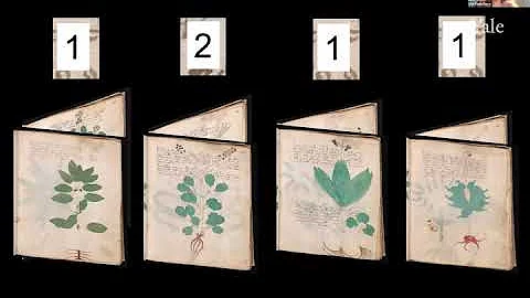 Voynich Manuscript w/ Lisa Fagin Davis, Raymond Clemens, Claire Bowern  Mondays at Beinecke 7/12/21